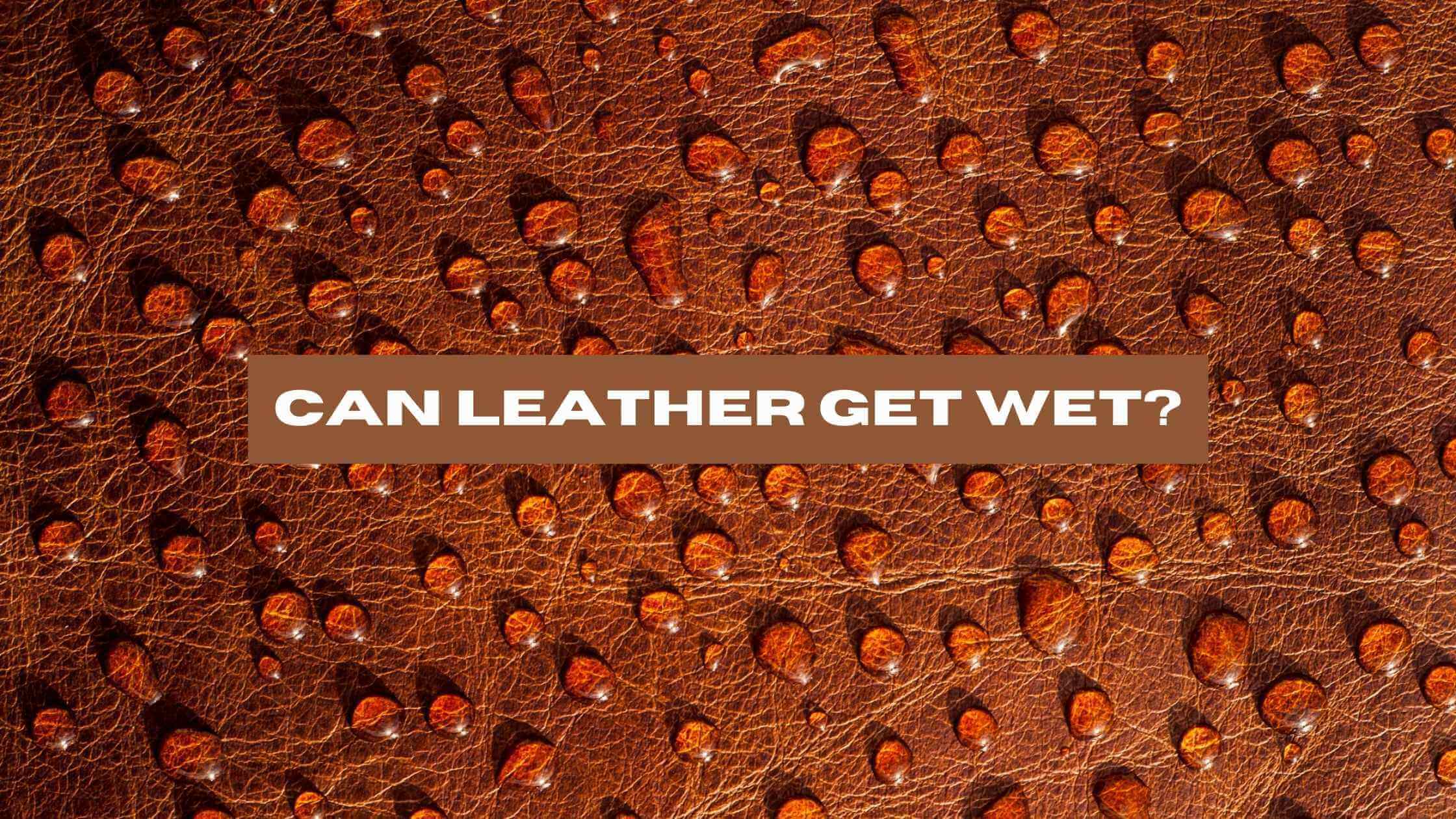 Can Leather Get Wet