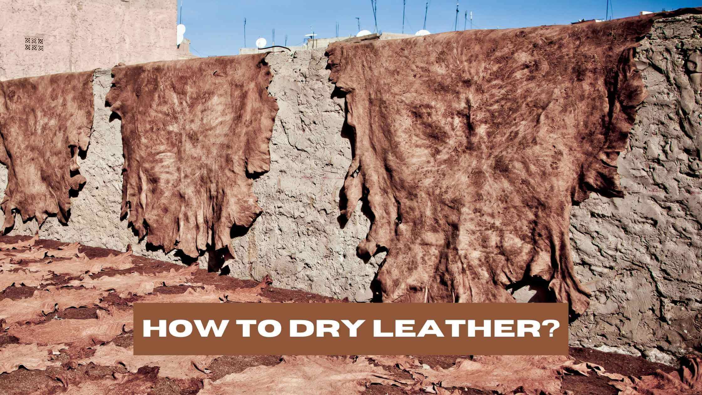 How to Dry Leather