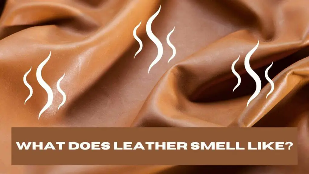 An image of brown leather emitting its leather smell.
What does leather smell like?