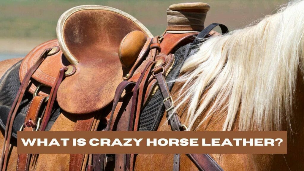 Image of a horse with a saddle made of crazy horse leather. What is Crazy Horse Leather?