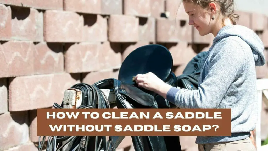 Photo of a girl cleaning a black saddle. How to Clean a Saddle Without Saddle Soap?