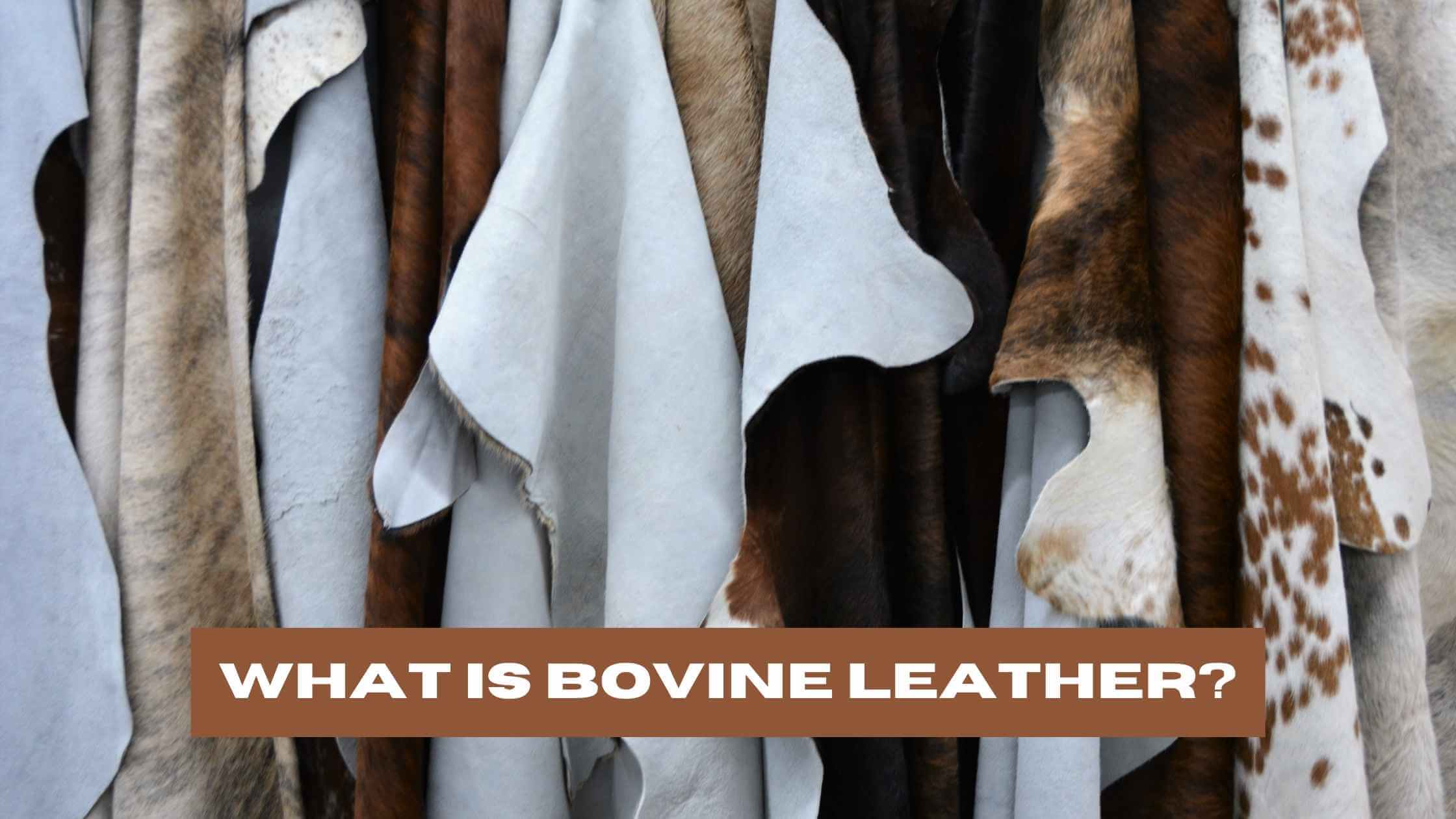 what is bovine leather