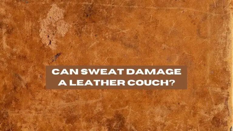 can-sweat-damage-a-leather-couch-effects-and-solutions