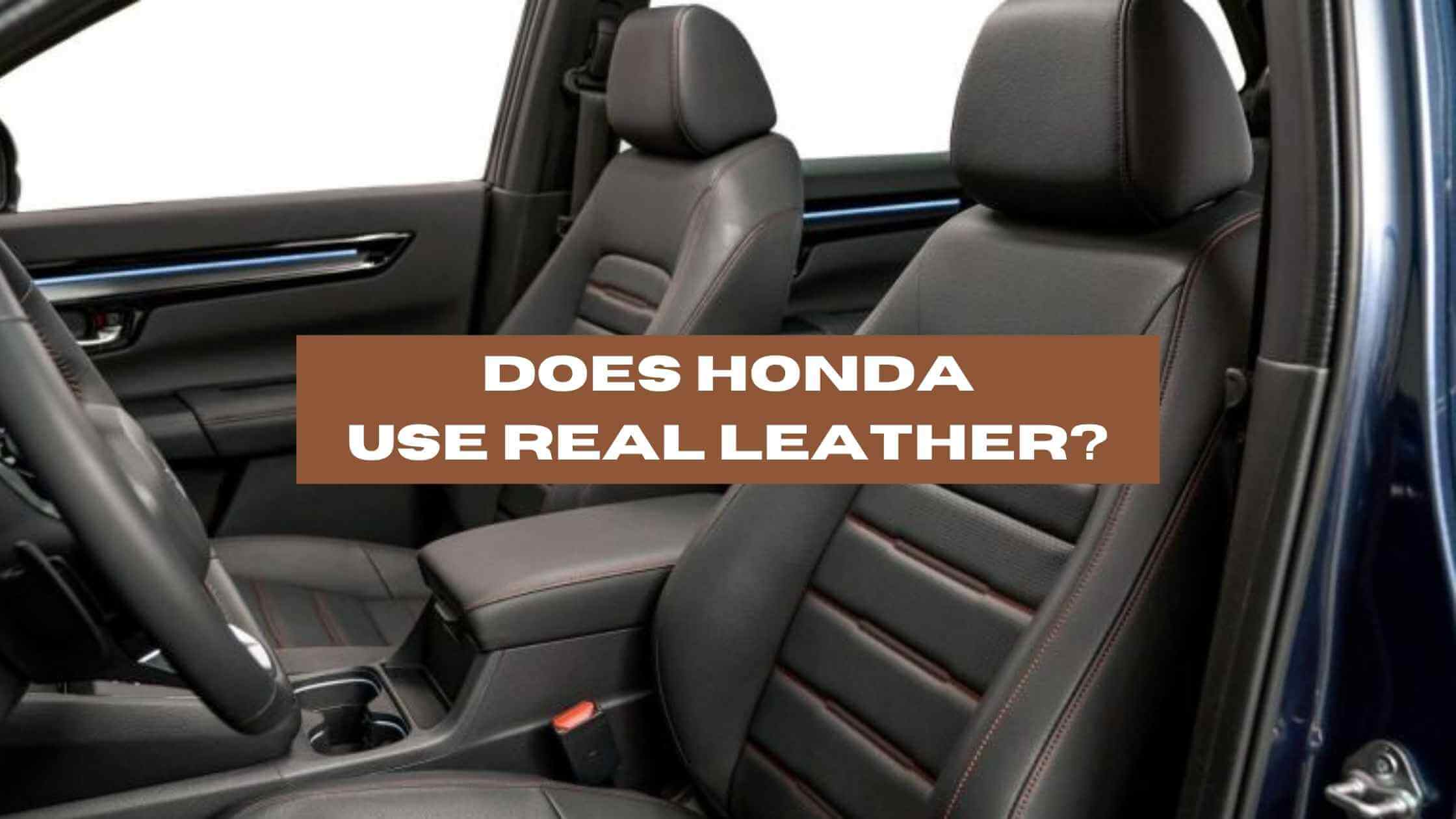 Does Honda Use Real Leather