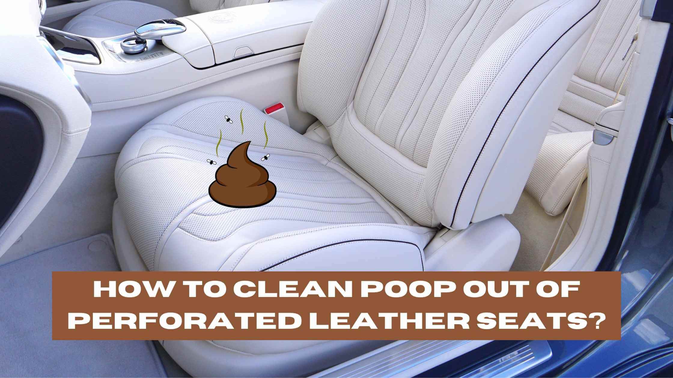 How to Clean Poop Out of Perforated Leather Seats