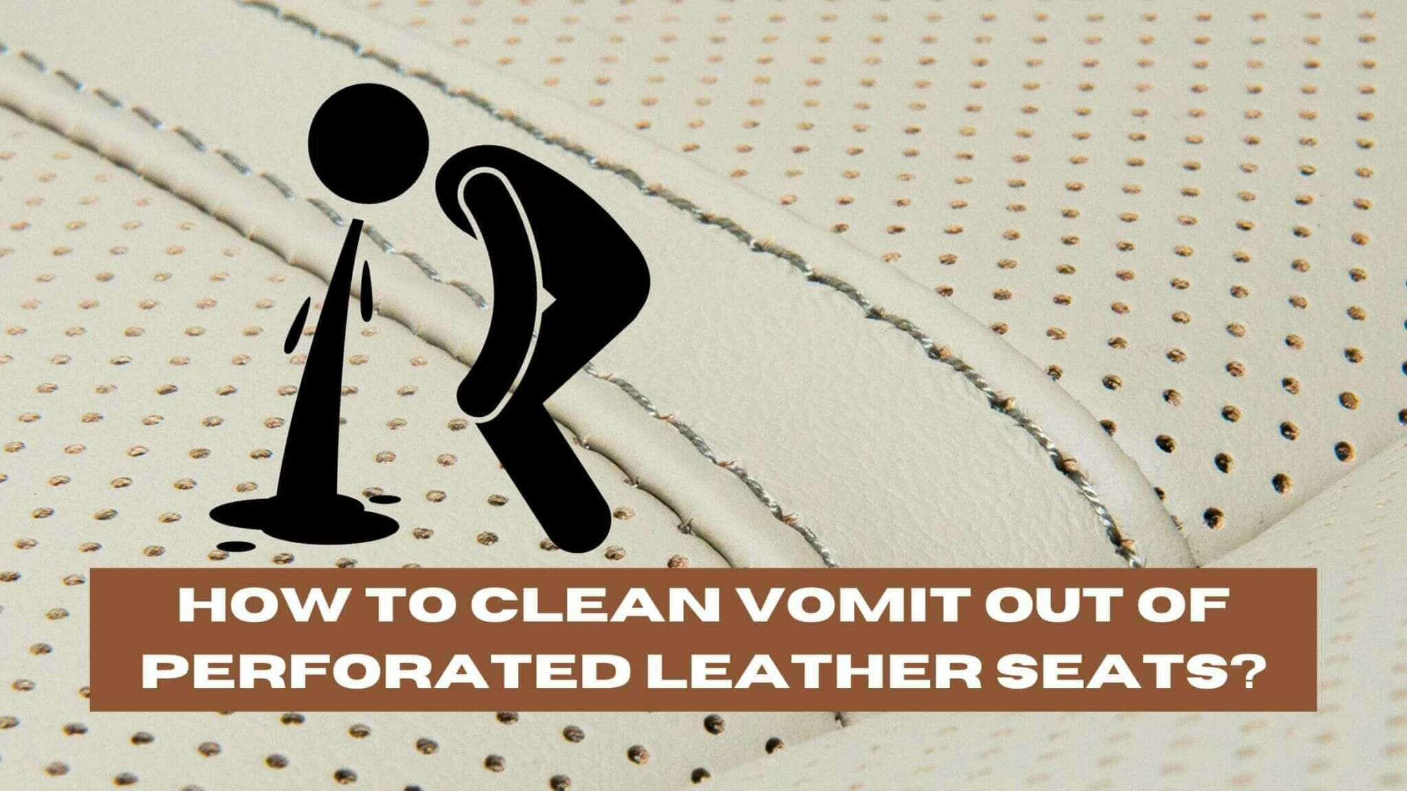 how-to-clean-vomit-out-of-perforated-leather-seats