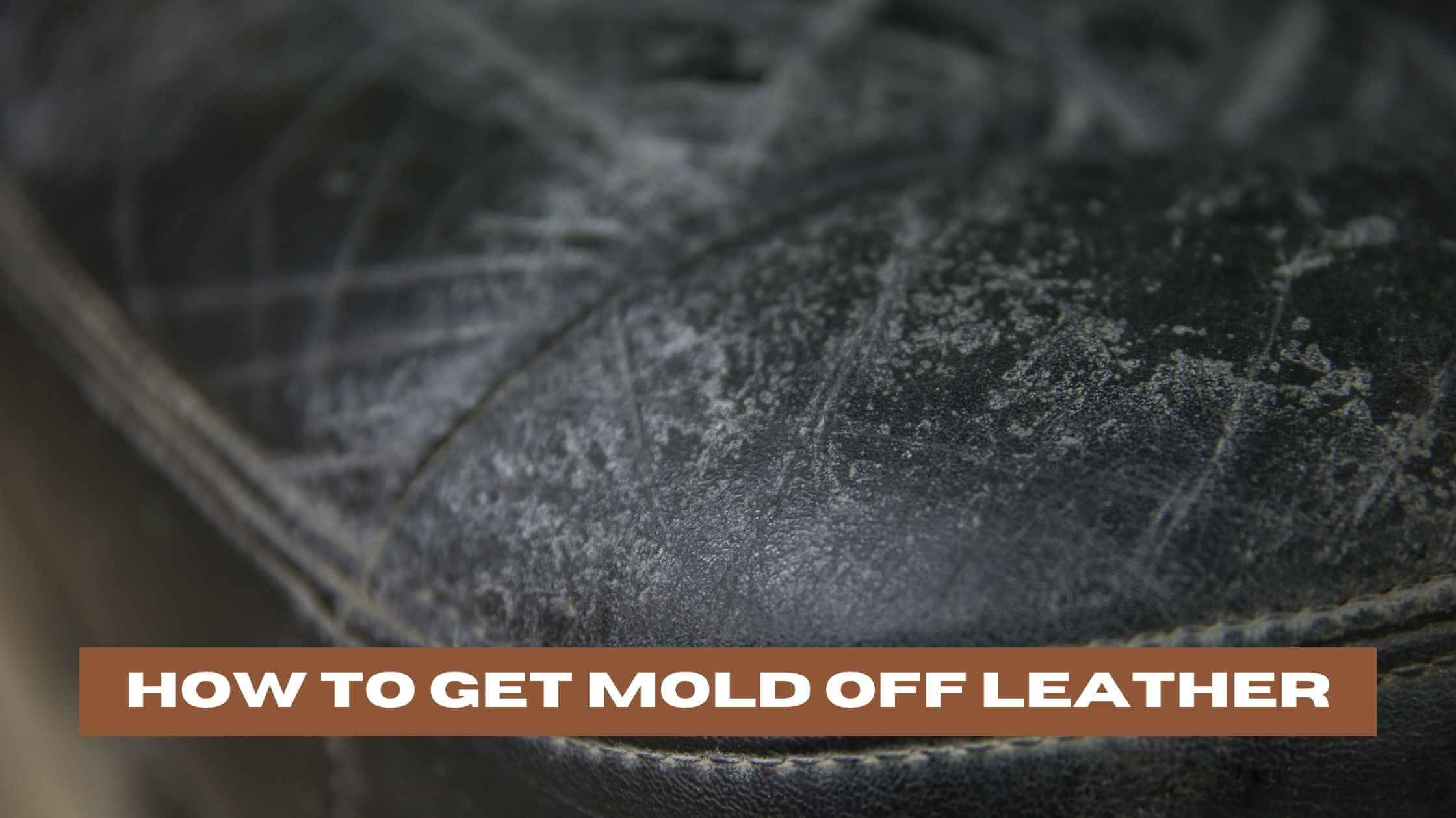 How To Get Mold Off Leather