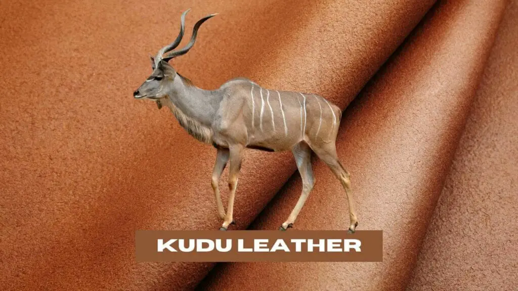 Photo of a leather sheet background and a Kudu animal on top of it. Kudu Leather.