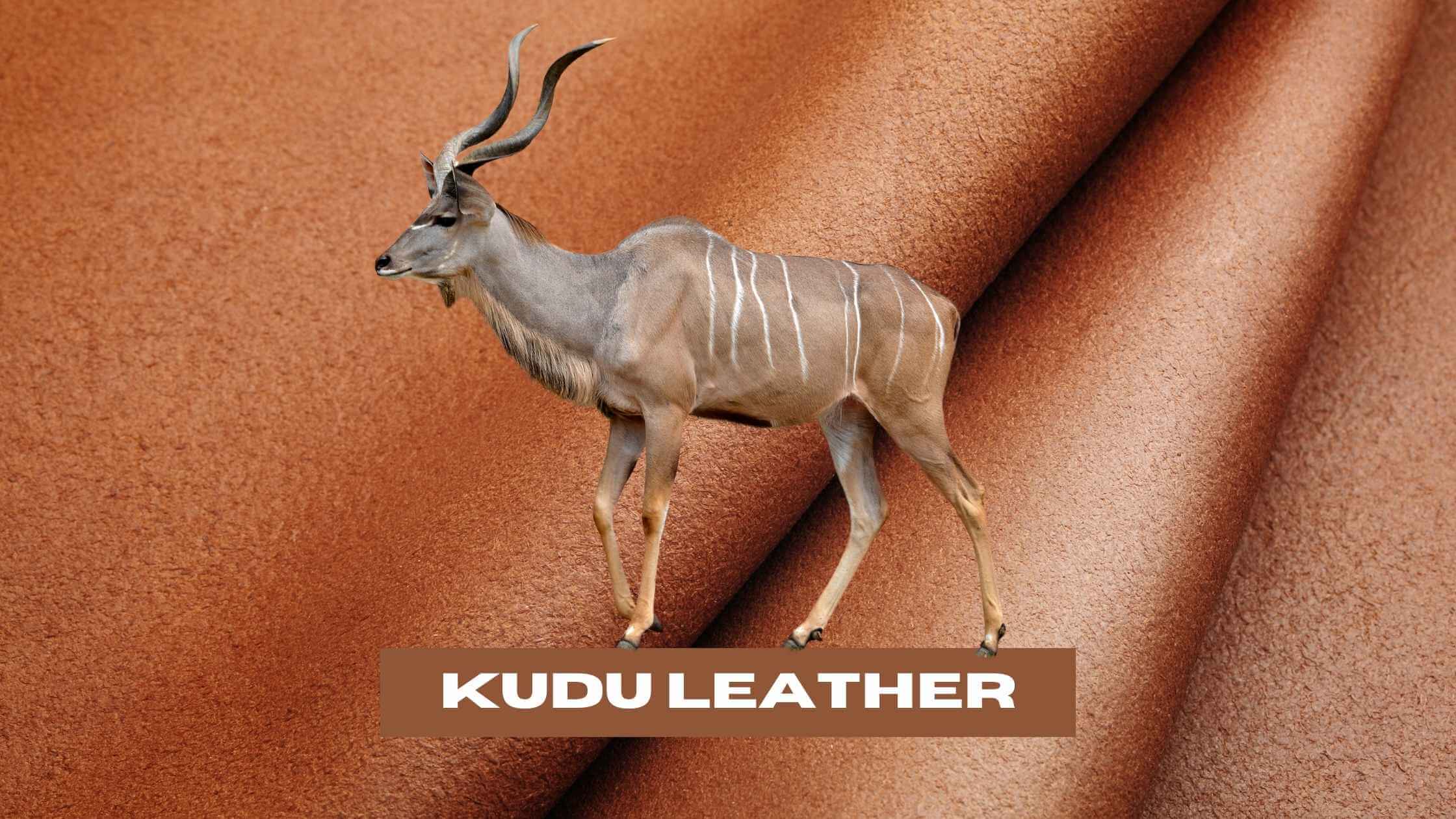Kudu Leather